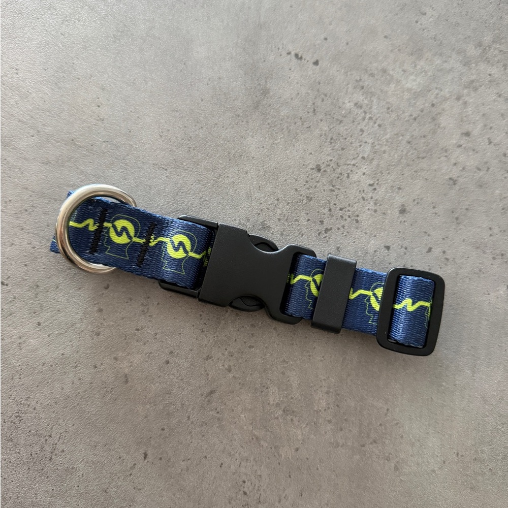 Brain dead new Blue and Yellow Dog Collar